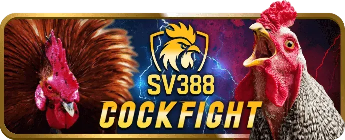 Hoàn trả hàng ngày fe88 win